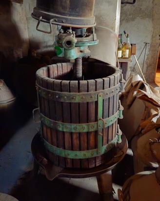 Accessori per vino