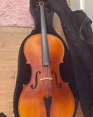 Violoncello