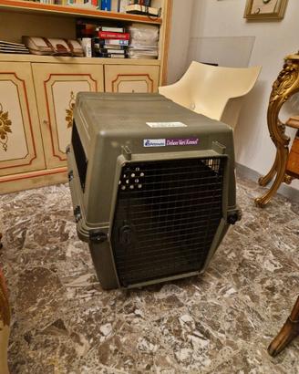 Kennel per cani di taglia grande omologato aereo