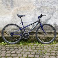 Mountain bike Bianchi Ragno Thomisus taglia 46