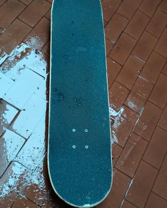 Skate longboard