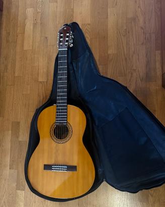 Chitarra acustica