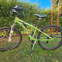 Bicicletta Ragazzo/a (8-12 anni)