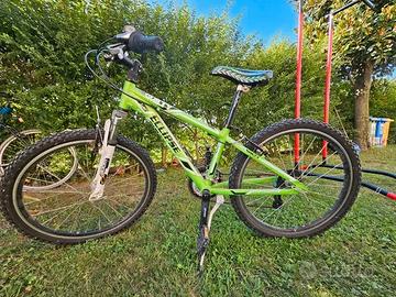 Bicicletta Ragazzo/a (8-12 anni)