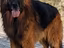 Immagine 21