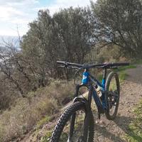 Lapierre zesty 