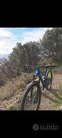 Lapierre zesty 