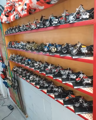 Collezione modellini Harley-Davidson 
