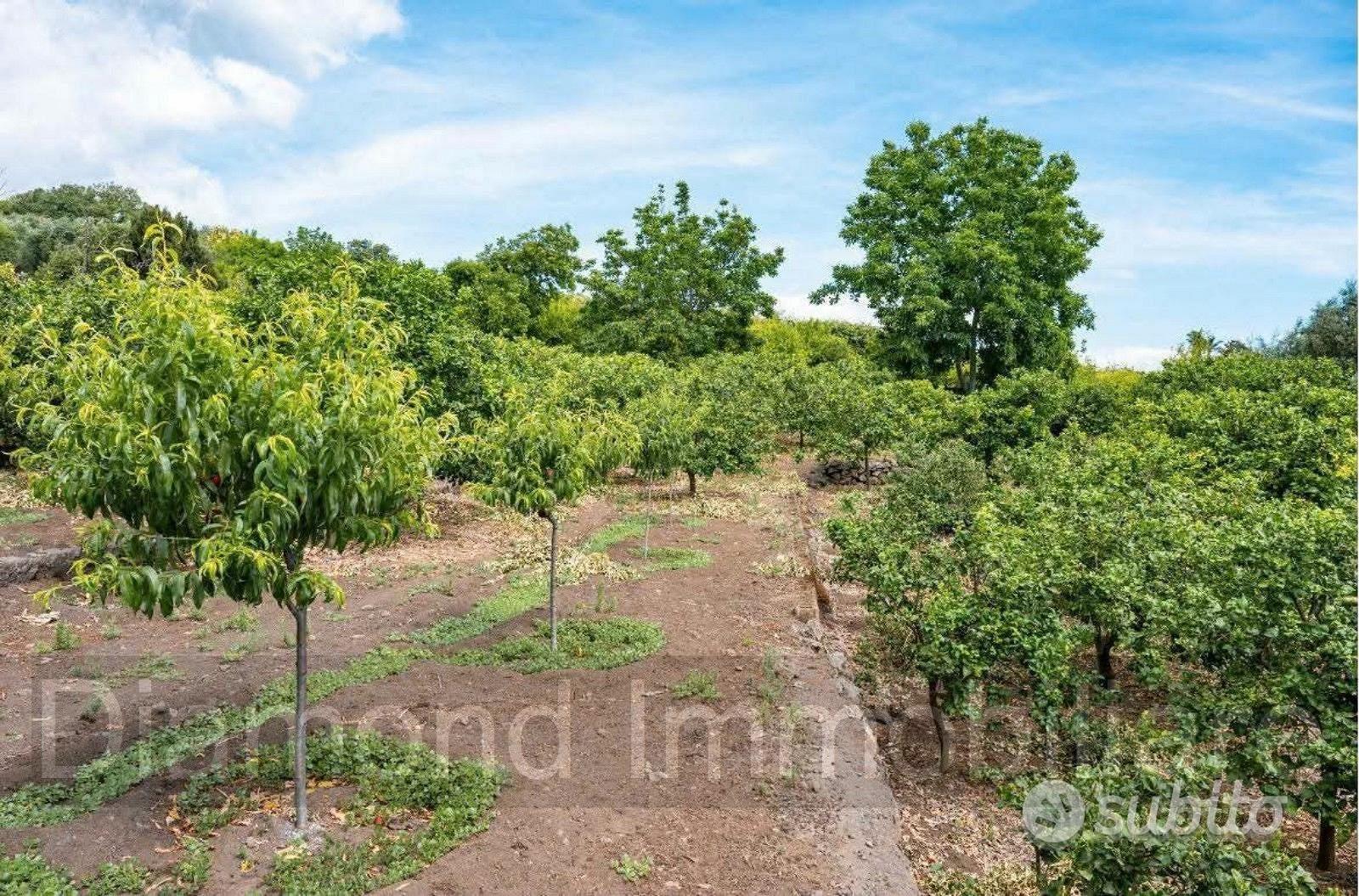 Terreno panoramico con fabbricato a Mascali - Vista 4