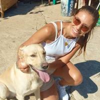 2 anni 17/18 chili dolce simil labrador