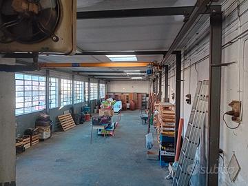 Carro ponte portata 500 kg