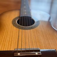Chtarra acustica Clarissa P4
