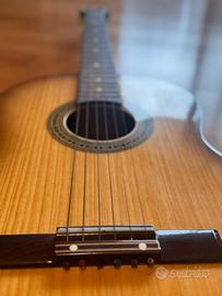 Chtarra acustica Clarissa P4