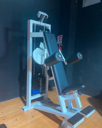 Lateral raise machine Panatta