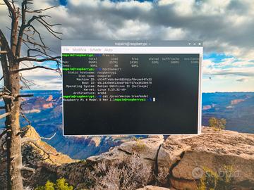 Funzionante Raspberry Pi 4 Model B 2GB RAM Rev 1.1