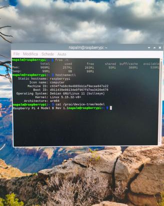 Funzionante Raspberry Pi 4 Model B 2GB RAM Rev 1.1