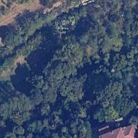 Terreno Agricolo - Poggibonsi