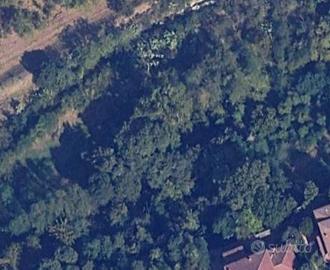 Terreno Agricolo - Poggibonsi