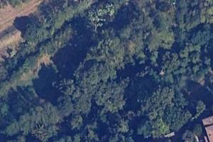 Terreno Agricolo - Poggibonsi