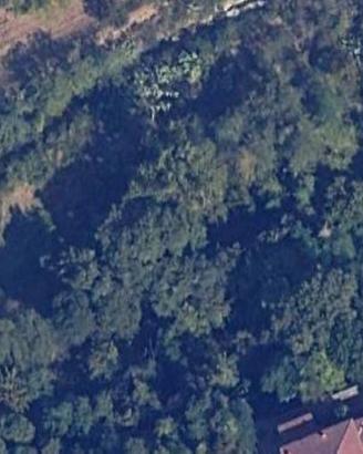 Terreno Agricolo - Poggibonsi