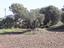 Immagine 12