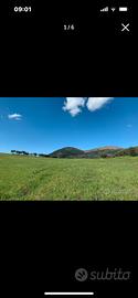 Terreno agricolo Cenerente perugia