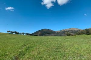 Terreno agricolo Cenerente perugia