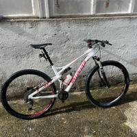 Bici mtb specialized epic expert