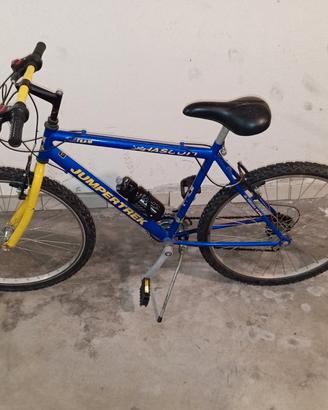 Mountain-bike 