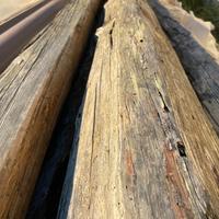 Travi antiche per ristrutturazioni SVENDITA