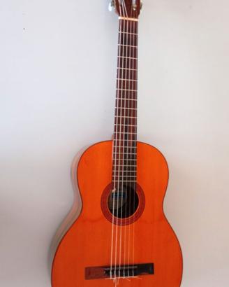 Chitarra classica Di Giorgio n.16 del 1974