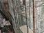 Immagine 5