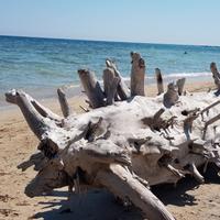 Salento bilocale 4 posti letto