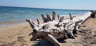 Salento bilocale 4 posti letto