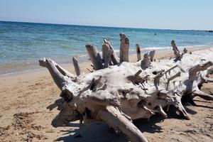 Salento bilocale 4 posti letto