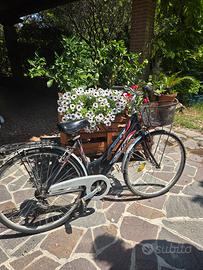 bicicletta city bike