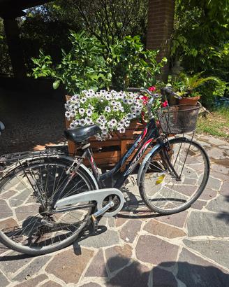 bicicletta city bike