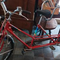 tandem bottecchia