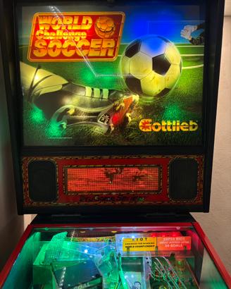 Flipper calcio