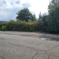 Trino vc terreno edificabile industriale mq11000