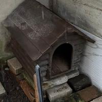 trasportino cuccia e guinzagli