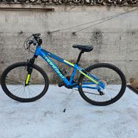 Bicicletta per bambino