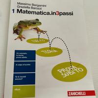 Matematica in 3 passi vol. 1