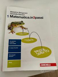 Matematica in 3 passi vol. 1