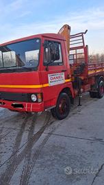 Autocarro ribaltabile posteriore con gru