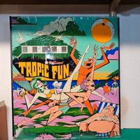 FLIPPER VETRO TESTA VINTAGE WLLIAMS RECUPERO