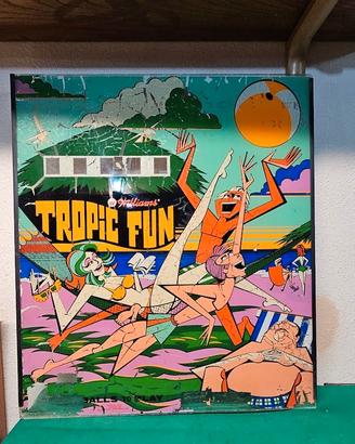 FLIPPER VETRO TESTA VINTAGE WLLIAMS RECUPERO