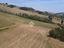 Immagine 11