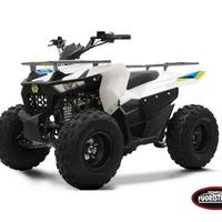 Lem Motor Quad Hummer 125cc Con Portapacchi