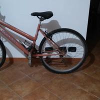 Bici da donna